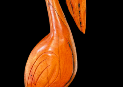 Red Gum Pelican