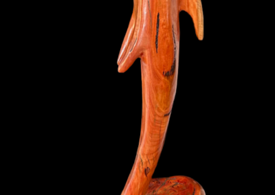 Red Gum Dolphin on a Wave